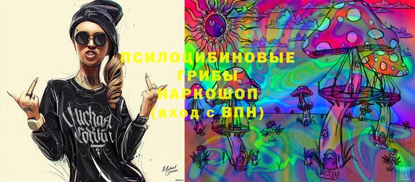 PSILOCYBIN Коряжма