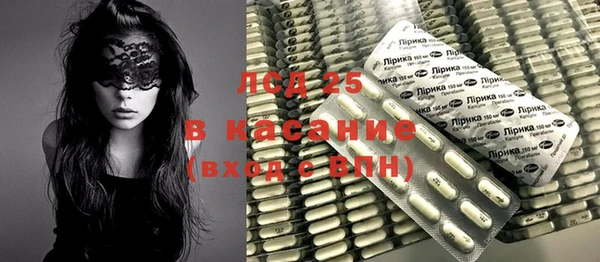 ПСИЛОЦИБИНОВЫЕ ГРИБЫ Видное