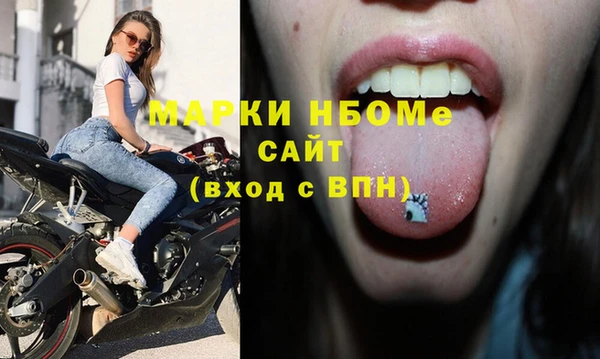 соль ск Кулебаки