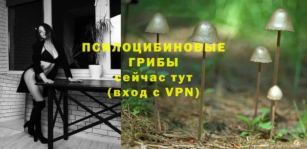 эйфоретик Краснослободск